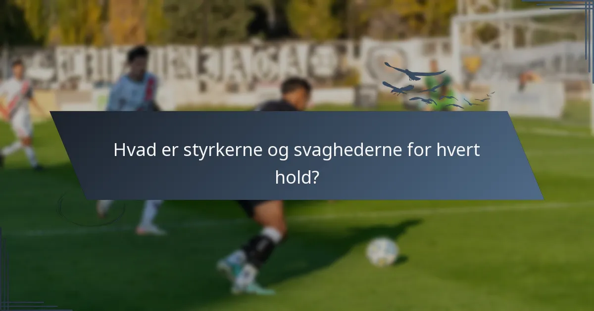 Hvad er styrkerne og svaghederne for hvert hold?